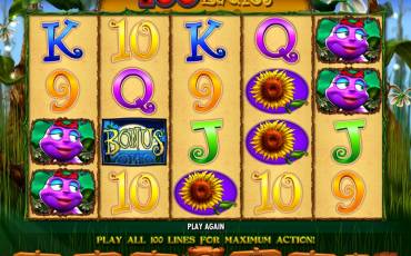 100 Ladies slot online