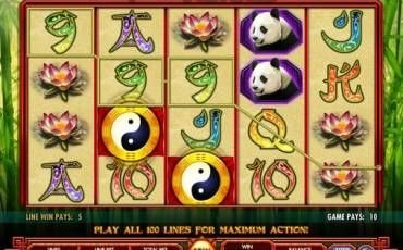 100 Pandas slot online