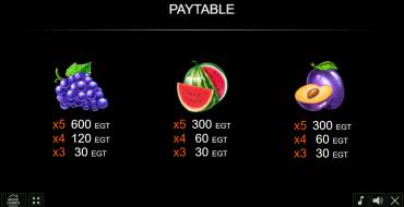 40 Power Hot: Payout table