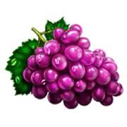 Grapes symbol in 20 Hot Super Fruits slot