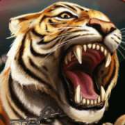 Tiger symbol in Game of Gladiators slot