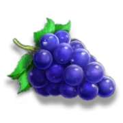 Grapes symbol in 7s Fury 40 slot