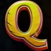 Q symbol in Wild Ape slot