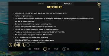 A Big Catch - HOLD & WIN: Rules