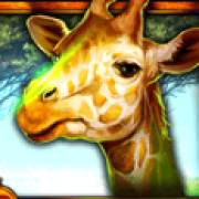 African Luck: Giraffe