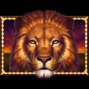 African Quest: Lion