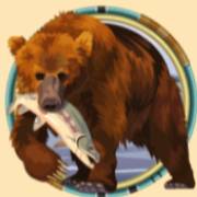 Alaskan Fishing: Bear