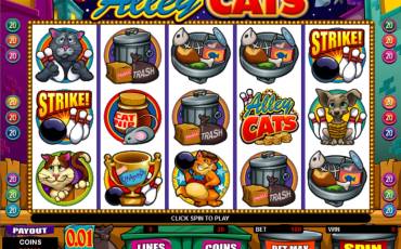 Alley Cats slot online