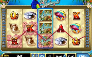 Aloha Island slot online