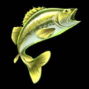 Amazing Catch Power Combo: Green fish