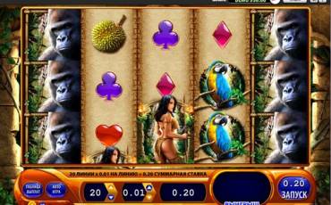 Amazon Queen slot online