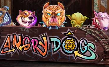 Angry Dogs