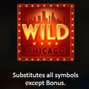 Wild symbol in Chicago Gangsters slot