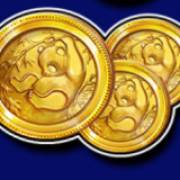 Bamboo Rush: Coins