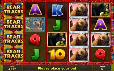 Bear Tracks slot online