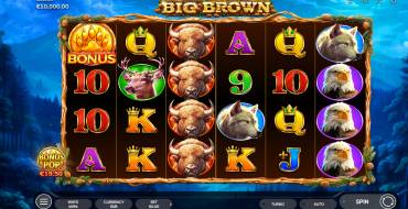 Big Brown: Slot machine