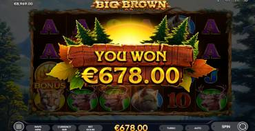 Big Brown: Winnings