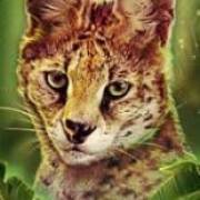 Big Cat Rescue Megaways: Lynx