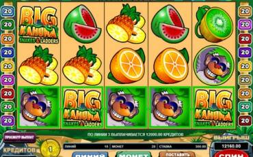 Big Kahuna: Snakes and Ladders slot online