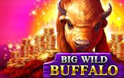 Big Wild Buffalo slot