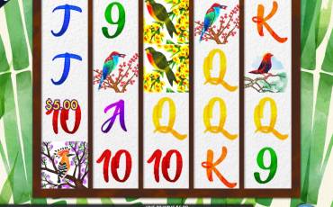 Birds and Blooms slot online