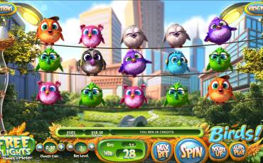 Birds slot online