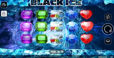 Black Ice: Interface