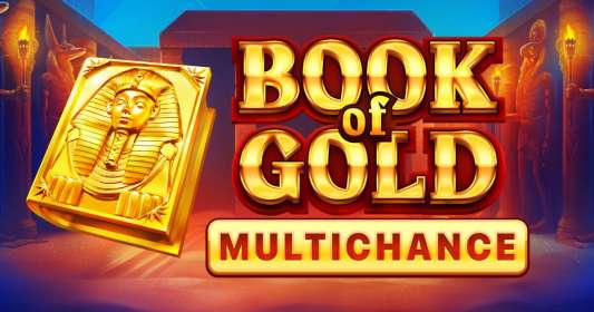 Book of Gold Multichance (Playson)
