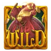 Wild symbol in Book of Thieves slot