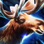 Book Of Wolves: Elk