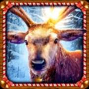 Book Of Xmas 2: Reindeer