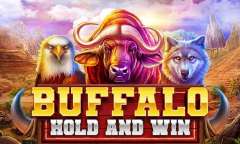 Play Buffalo Hold And Win