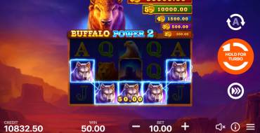 Buffalo Power 2: Hold and Win: Winnings