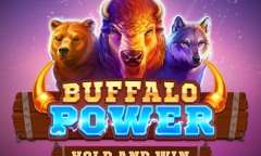 Play Buffalo Power: Hold and Win