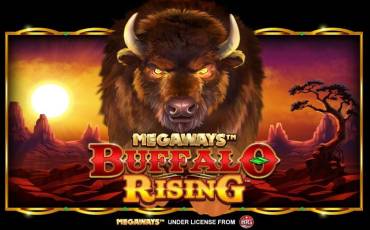 Buffalo Rising Megaways All Action slot online