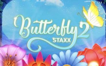 Butterfly Staxx 2