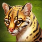 Jaguar symbol in Panther's Reign slot