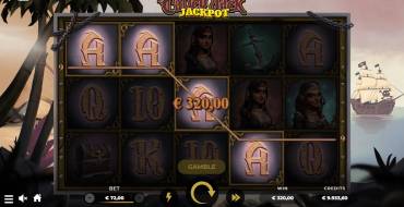 Calico Jack Jackpot: Design