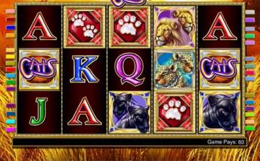 Cats slot online