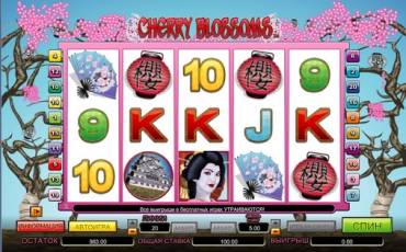 Cherry Blossoms slot online