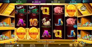 Chicken Fox 5x Skillstar: Free spins