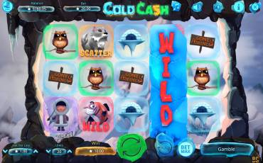 Cold Cash