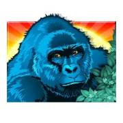 Congo Cash: Gorilla