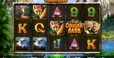 Cougar Cash: Slot machine