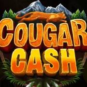 Cougar Cash: Scatter