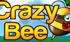 Play Crazy Bee