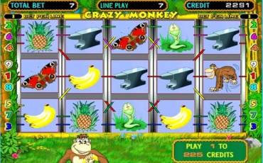 Crazy Monkey  slot online