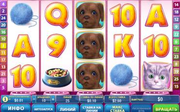 Cute and Fluffy slot online