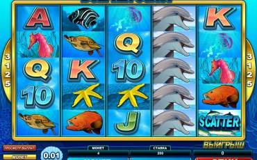 Dolphin Coast slot online