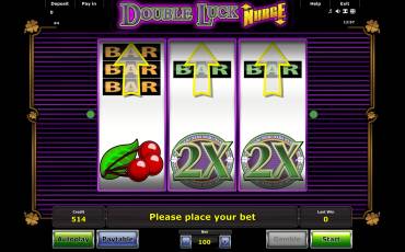 Double Luck Nudge slot online